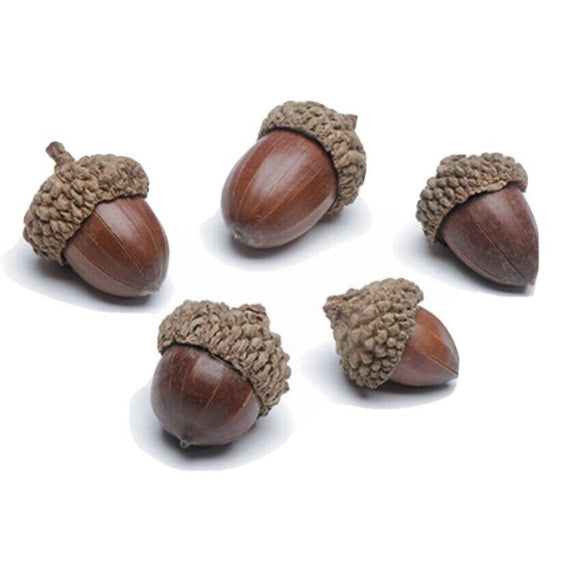 Artificial Acorns
